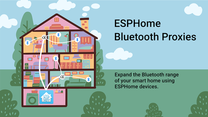 HA BluetoothProxy schema